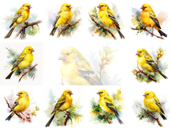 Canary Watercolor Clipart Set for Vibrant Branding