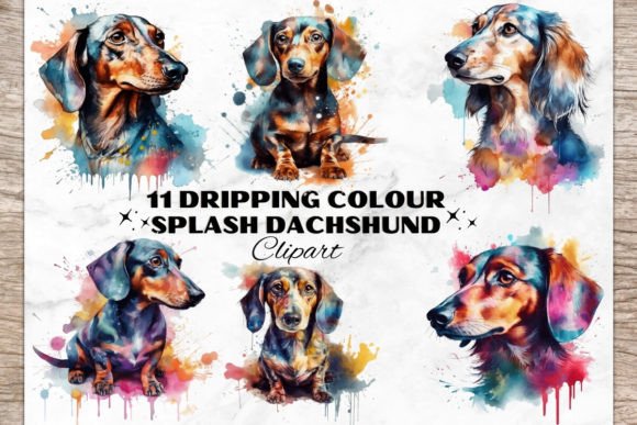 Charming Watercolor Dachshund Dog Bundle
