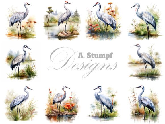 Crane Watercolor Clipart: A Versatile Illustrations Set