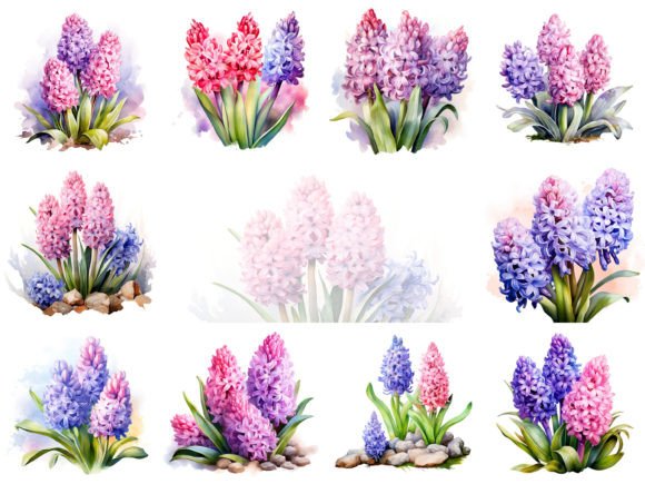 Hyacinths Watercolor Flowers for Elegant Branding