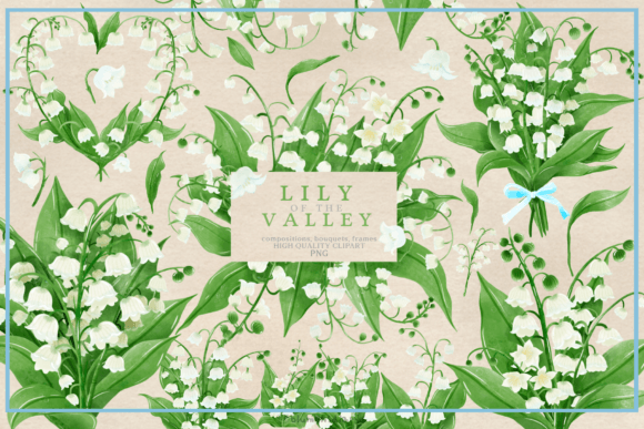 Lily of the Valley Watercolor for Illustrations