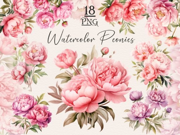 Pink Peony Watercolor PNG Bundle: A Versatile Illustrations Asset