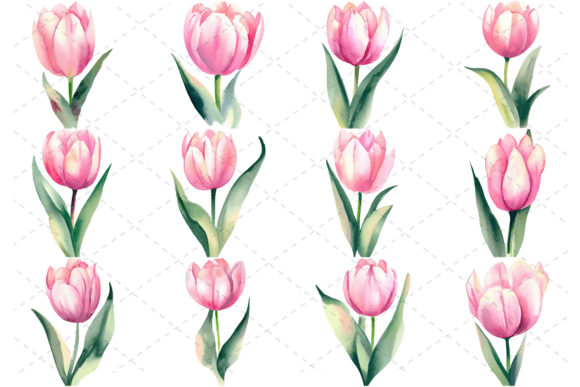 Review: 12 Pink Watercolor Tulip Flower Bundle for Illustrations