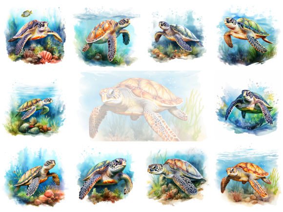 Sea Turtle Watercolor Clipart for Illustrations