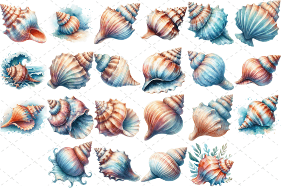 Seashell Watercolor Clipart: Perfect for Local Branding