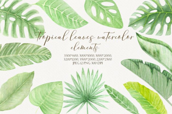 Tropical Leaves Watercolor Hand Drawn: A Versatile Illustrations Asset