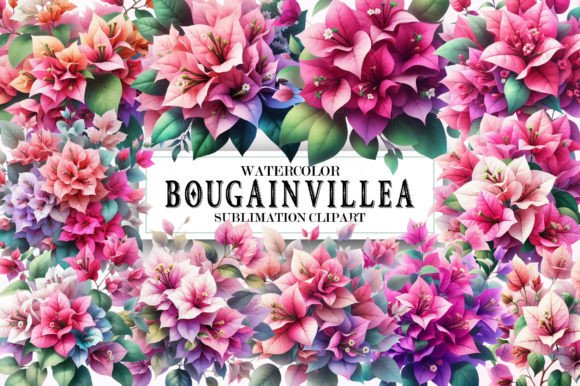 Watercolor Bougainvillea Clipart for Elegant Branding