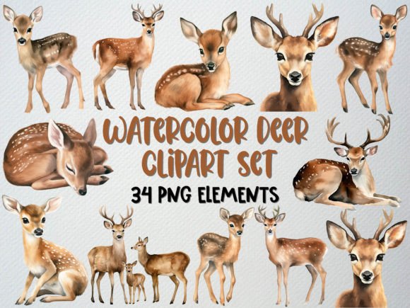 Watercolor Deer Clipart Set, 34 PNG Illustrations