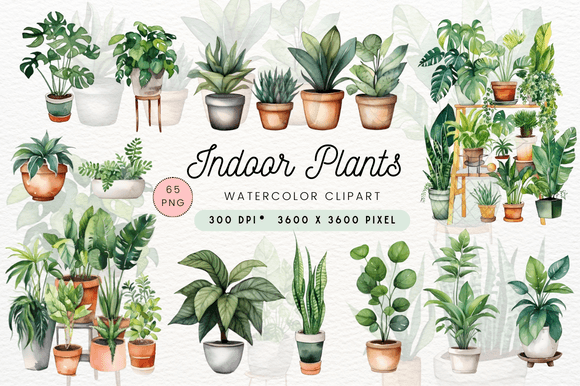 Watercolor Indoor Plants Embroidery Review