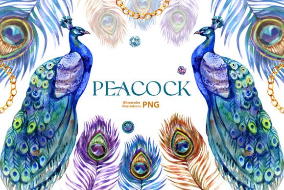 Watercolor Peacock Clipart Set: A Versatile Illustrations Asset
