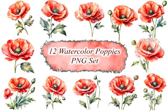 Watercolor Poppies Clipart PNG: A Versatile Illustrations Asset