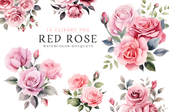 Watercolor Roses Bouquets Clipart PNG for Illustrations