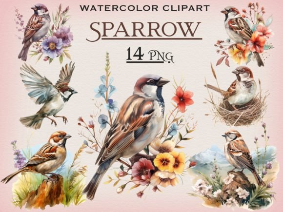 Watercolor Sparrow PNG Bundle: Perfect for Editorial Illustrations