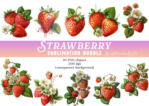 Watercolor Strawberry Bundle: A Versatile Illustrations Asset