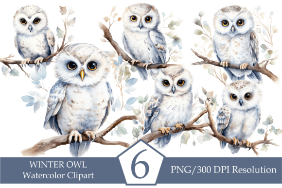 Watercolor Winter Owl: A Charming Illustration for Crafters
